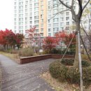 옥길센트리뷰 이미지