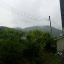 고요한 아침 이미지