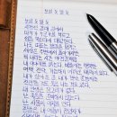 보일 듯 말 듯 - 살바토레 콰시모도 이미지