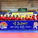 번개태권도 이미지