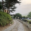 솔푸른향기애견 | 6월 국내여행/ 태안 솔푸른향기 애견펜션 추천