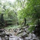 내수전 약수터 | 울릉도 내수전약수터 그리고 몽돌해변