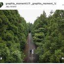 제주 모먼트 | 제주스냅 계약 완료 후기｜그라피아모먼트 선택한 이유 (색감·가격·드론·추가금 정리)