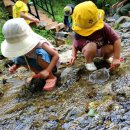 남한산초등학교 병설유치원 이미지