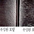 퀸즈헤어 이미지