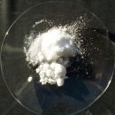 클레오브라인슈림프 | 대왕오징어(Giant Squid)