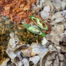 다대포식당 이미지