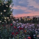 최진이 번역 일반행정사 사무소 이미지