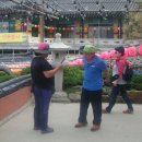 동백유원지 이미지