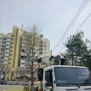 성민복지관(3) | 노원구 천애원사회복지관 나무전지 - 어르신과 이웃을...쉼터 만들기, 베테랑의 정밀 스카이차 시공 후기!