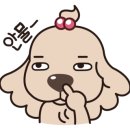 진도유치원 이미지