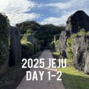태평로537번길 | 제주도 3박4일 코스 가성비 여행 1-2일차 일정 총정리
