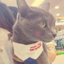 폴리파크지산점 이미지