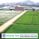 수원-1906 이미지