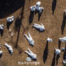 쉬고합시다