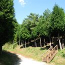 갈모봉산림욕장 이미지