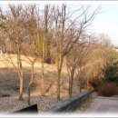 이한규 묘 이미지