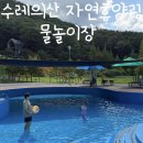 수레의산자연휴양림 | [충북 음성 수레의산자연휴양림] 물놀이장 후기 | 이용시간·복장·튜브 사용 총정리