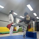 합기도제주중앙 이미지