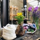 허브PC카페 이미지