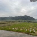 안중부자공인중개사사무소 이미지