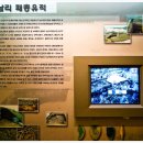 한서대학교박물관 이미지