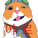 광인산업 | 비둘기님 같이 하늘을 날아보아요 ~♪