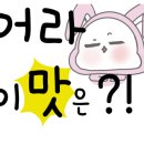 고라니김밥 이미지