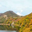 붕어섬2(방문자센터) | 전북 임실 가볼만한곳 옥정호 출렁다리 붕어섬, 드론 촬영 풍경