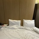 유성스테이호텔 이미지