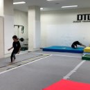 드래곤트릭킹짐 이미지