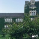 대림컴퓨터세탁소 | [2018년 6월] 코덕이 되어가는 중 / 슈에무라 / 백톡팔레트 / 헤이미쉬 립틴트 / 맥 소바, 허니러스트...