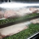 더육공소 이미지