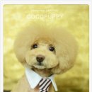 내추럴펫 이미지