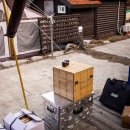 홍천해당화 이미지