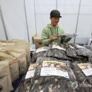 정남진우리김부각 영농조합법인 이미지