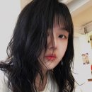 레이어바이레이어