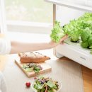 아이러브팜 이미지