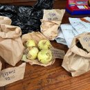 농월정오토캠핑장 이미지