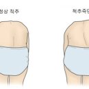 보타닉필라테스&발레핏
