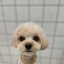 반자주 진해점 이미지