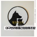 대구반려동물산업협동조합 함개하자냥 | 대구반려동물산업협동조합(함개하자냥) 펫푸드 자격증 취득 가능!