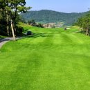 파인스크린골프 이미지