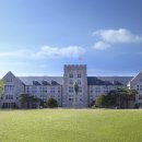 고려대학교 이미지