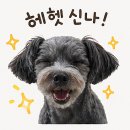 대가촌 | 정선5일장 현지인 치킨 맛집 대가촌 가마솥 야채치킨 내돈내산 후기