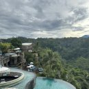 세이브투어 이미지