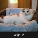별빛카페 - 제주시 선돌목동길 33-1 | 별빛카페