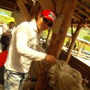 전나무목장 이미지