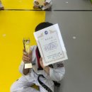 밝은i태권도장 이미지