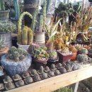 초월농장 이미지